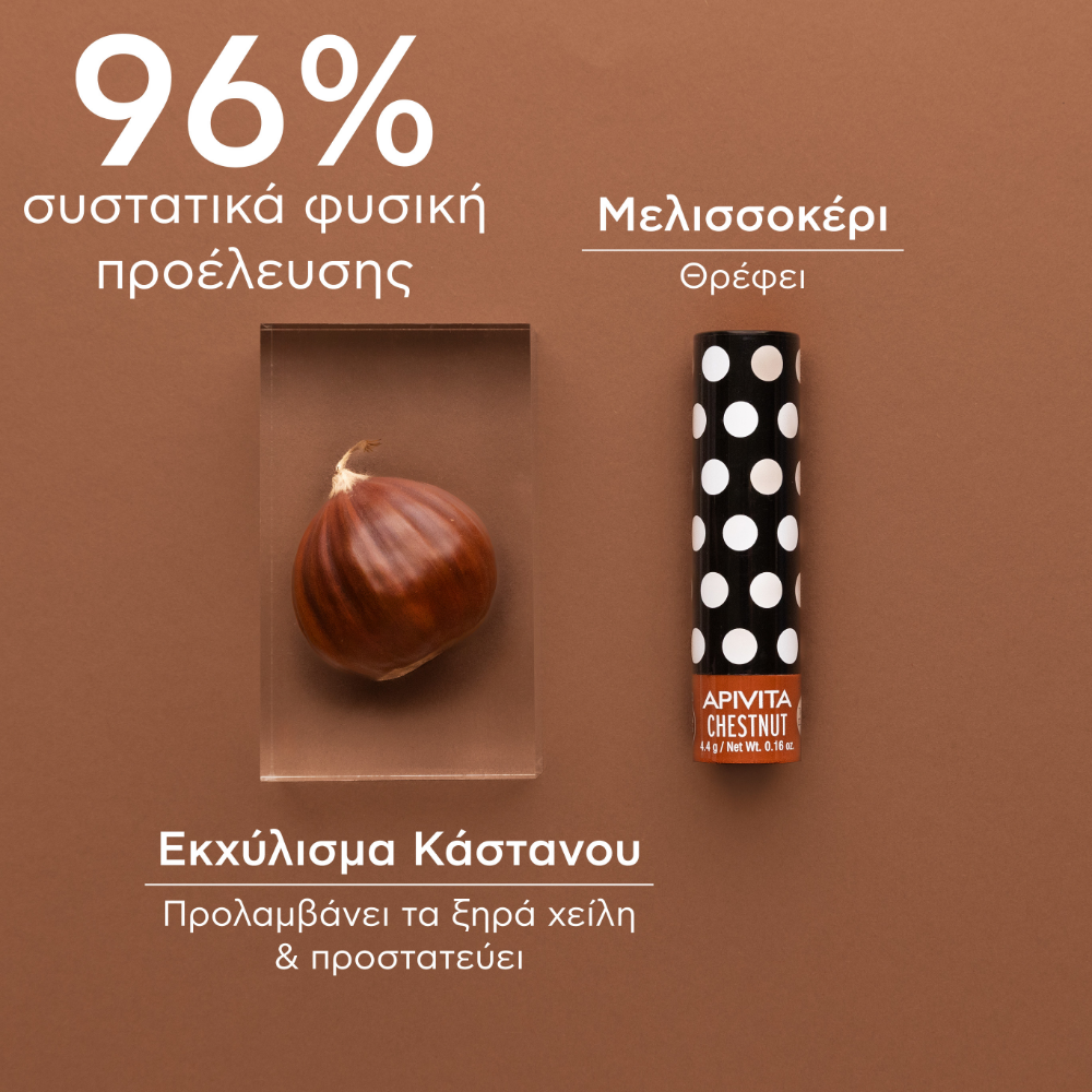 Apivita Lip Care Chestnut 4.4G