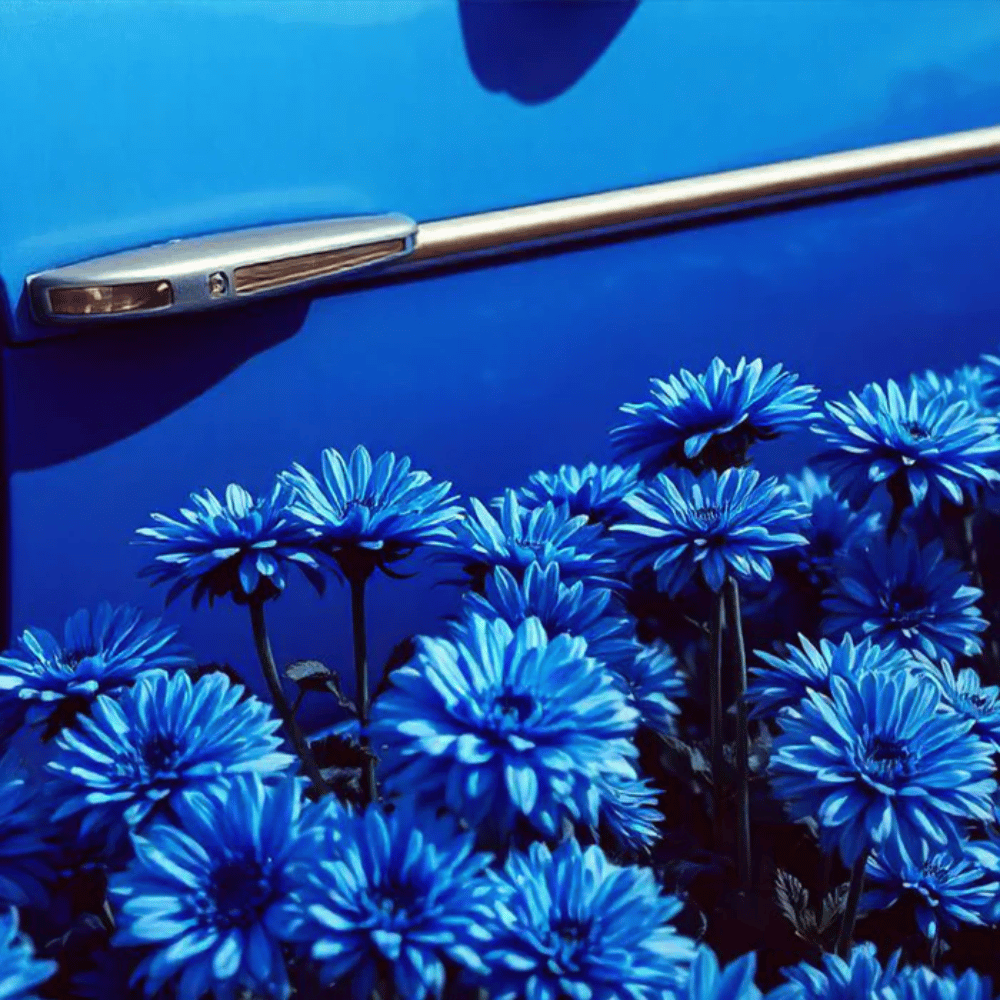 Baija Blue Ginger Car Scent