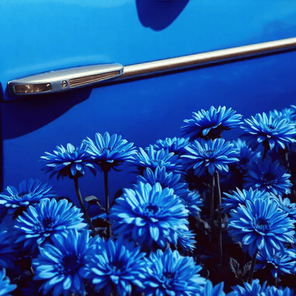 Baija Blue Ginger Car Scent