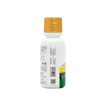 NaturesPlus Source of Life GOLD Multivitamin Liquid 240ml