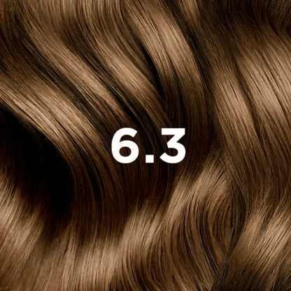 PHYTO COLORING 6.3 DARK GOLDEN BLONDE